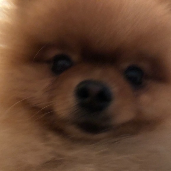 araako